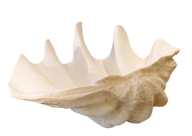 Lombok Shell Sculpture
