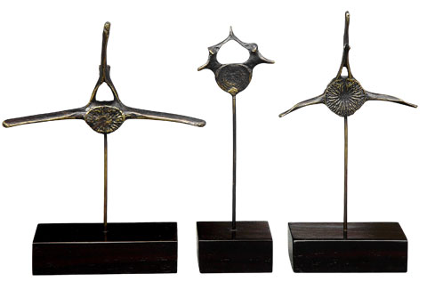 vertebrae_collection